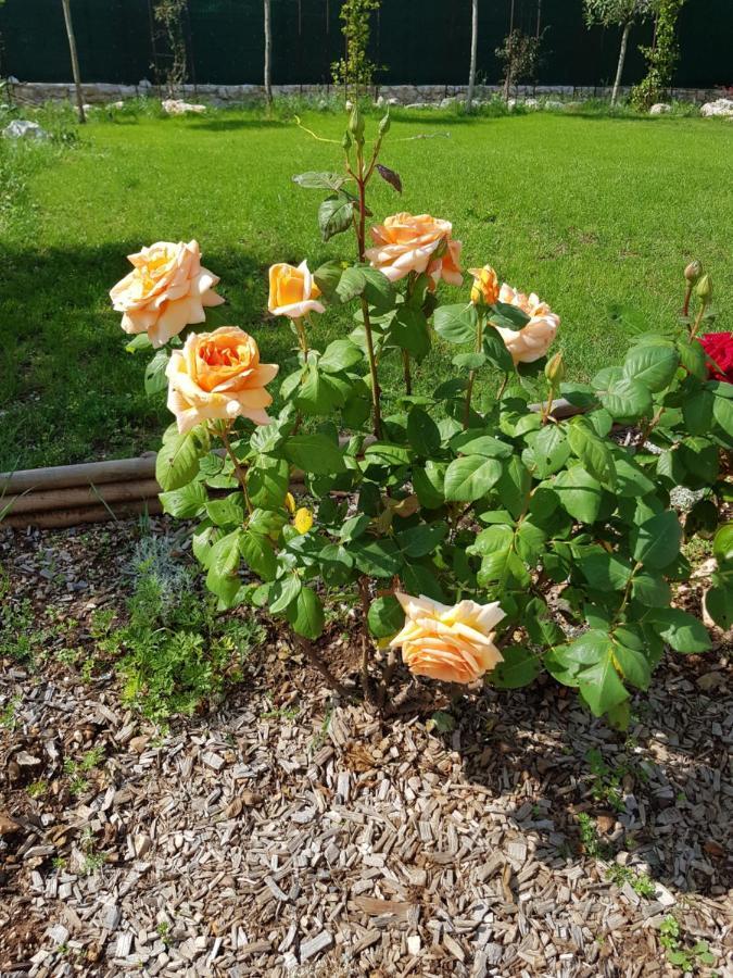 Mas D'Azur Bed & Breakfast Roquefort-les-Pins Exterior foto