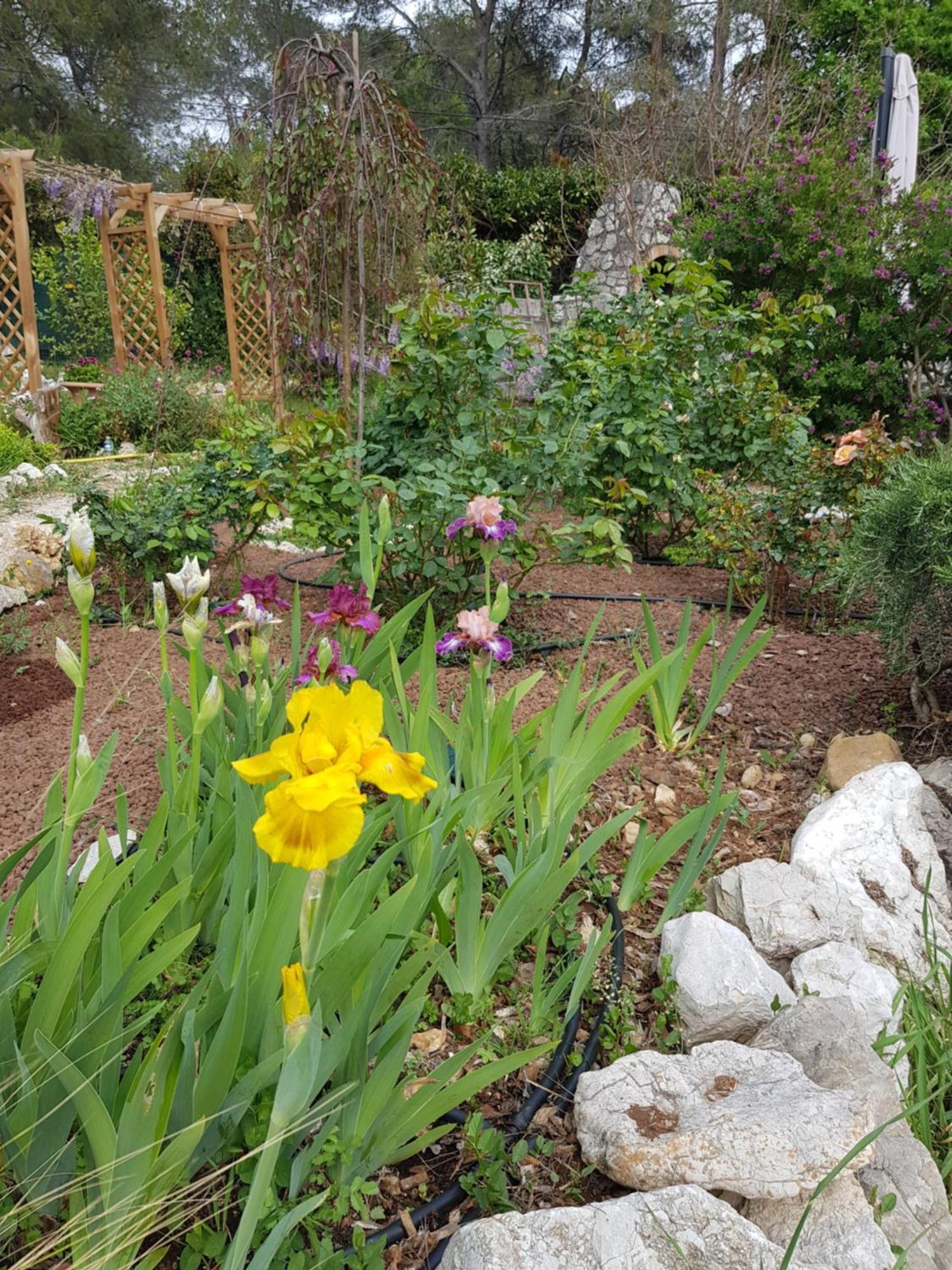 Mas D'Azur Bed & Breakfast Roquefort-les-Pins Exterior foto